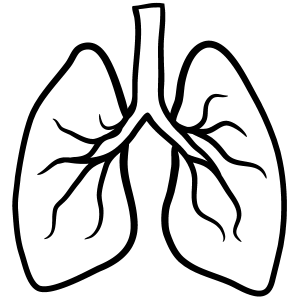 tumori polmoni